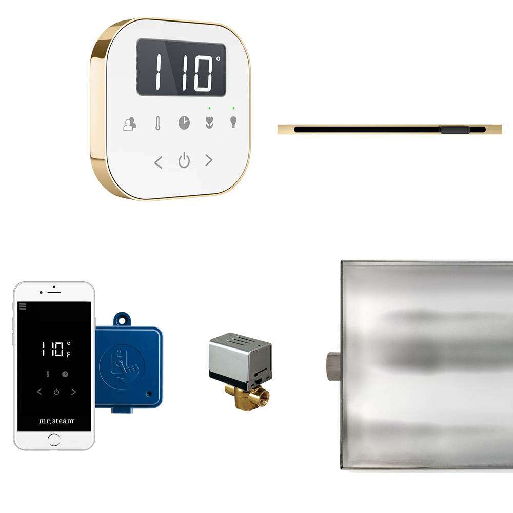 Mr. Steam AirButler Linear Steam Shower Control Package with AirTempo Control and Linear SteamHead in White Polished Brass